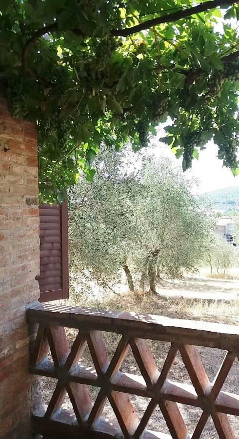 Casa Dei Borghi Βίλα Murlo Εξωτερικό φωτογραφία